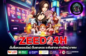 Zeed24h